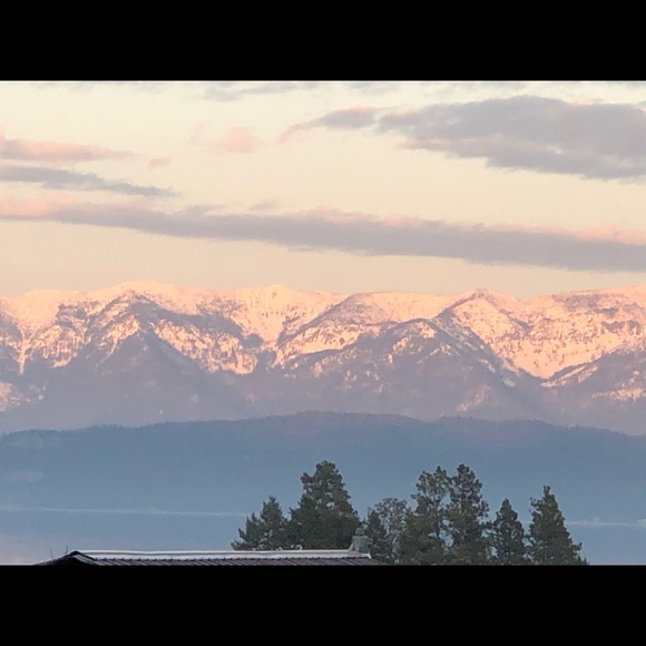 Meet your Posher, Rody - Picture 2 of 2